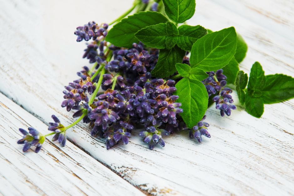 Levendula-menta tusfürdő és habfürdő – gyengéd tisztítás és hidratáló ápolás minden nap